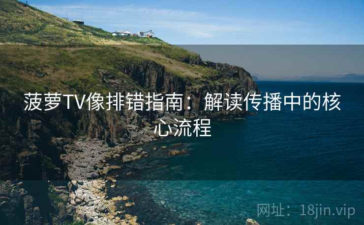 菠萝TV像排错指南：解读传播中的核心流程